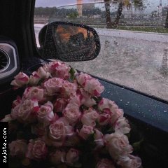 Nada_1998