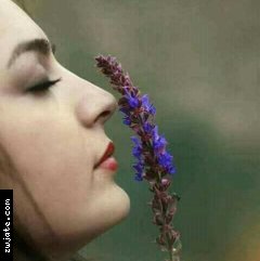 ��� ���١٤ | ���� ����� �������