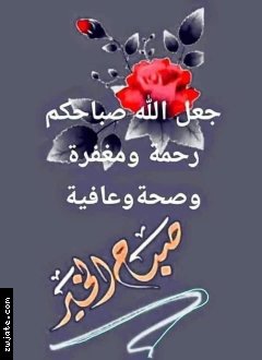 ��� ���� ����