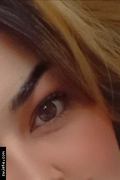 ��� ��� ������ | ���� ����� �������