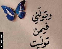 ����� ����� | ���� ����� �������