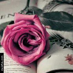 ����������🌹