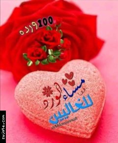 ���������� | ���� ����� �������