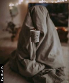 ����1���� | ���� ����� �������