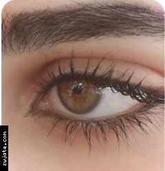 ��� �����1189 | ���� ����� �������