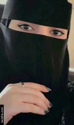 Roro10237 | ���� ����� �������