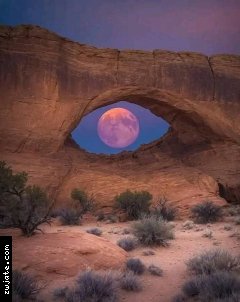 ���� ����� | ���� ����� �������