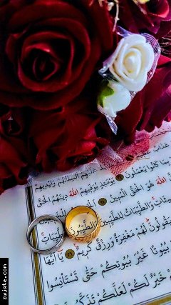 ���� ������ 1 | ���� ����� �������