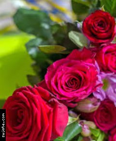 Mena2311 | ���� ����� �������