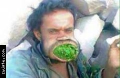 ������ ����� �� ������ | ���� ����� �������