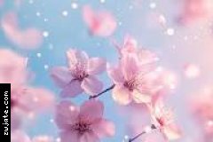 Dlkaz0 | ���� ����� �������