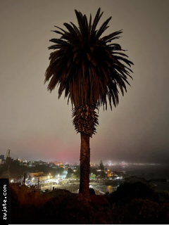 ����� �� ������� #